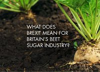 What does Brexit mean for Britain’s beet sugar industry?