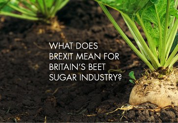 What does Brexit mean for Britain’s beet sugar industry?