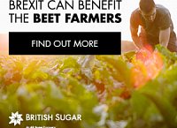 Brexit can benefit the beet farmers