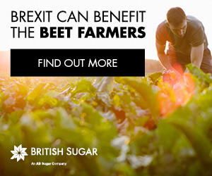 Brexit can benefit the beet farmers